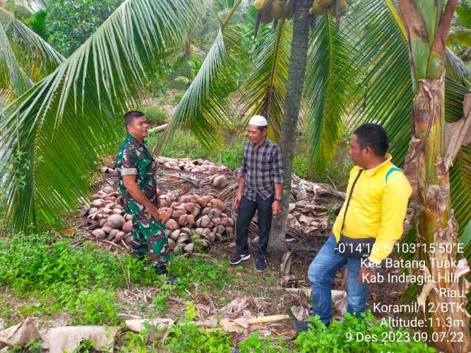 Sertu Syamsir Monitoring Karhutlah di Desa Gemilang