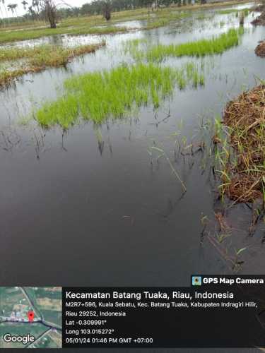 Ancam Lahan Pertanian, PT SAGM Ingkari Bangun Saluran Air di Desa Pasir Emas, Batang Tuaka