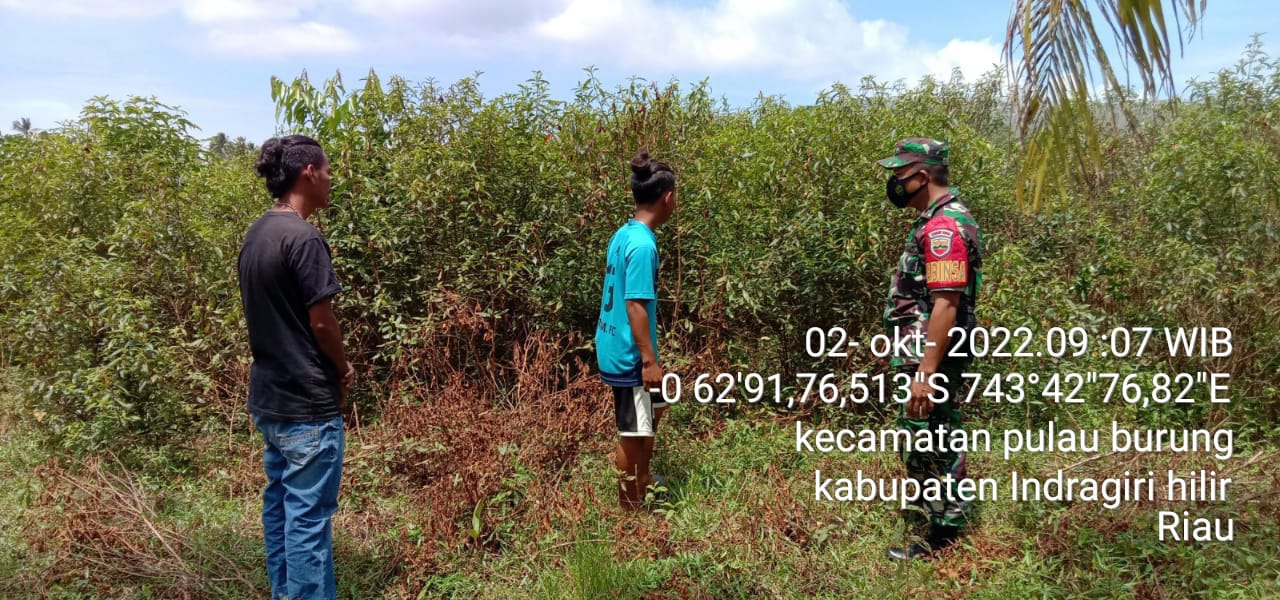 Serda Supardiyanto Babinsa Koramil 11/Pulau Burung Patroli Karhutlah Terkordinat