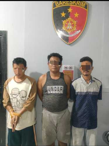 Tiga Pria Diamankan Dikebun Sawit Gara-Gara Narkotika