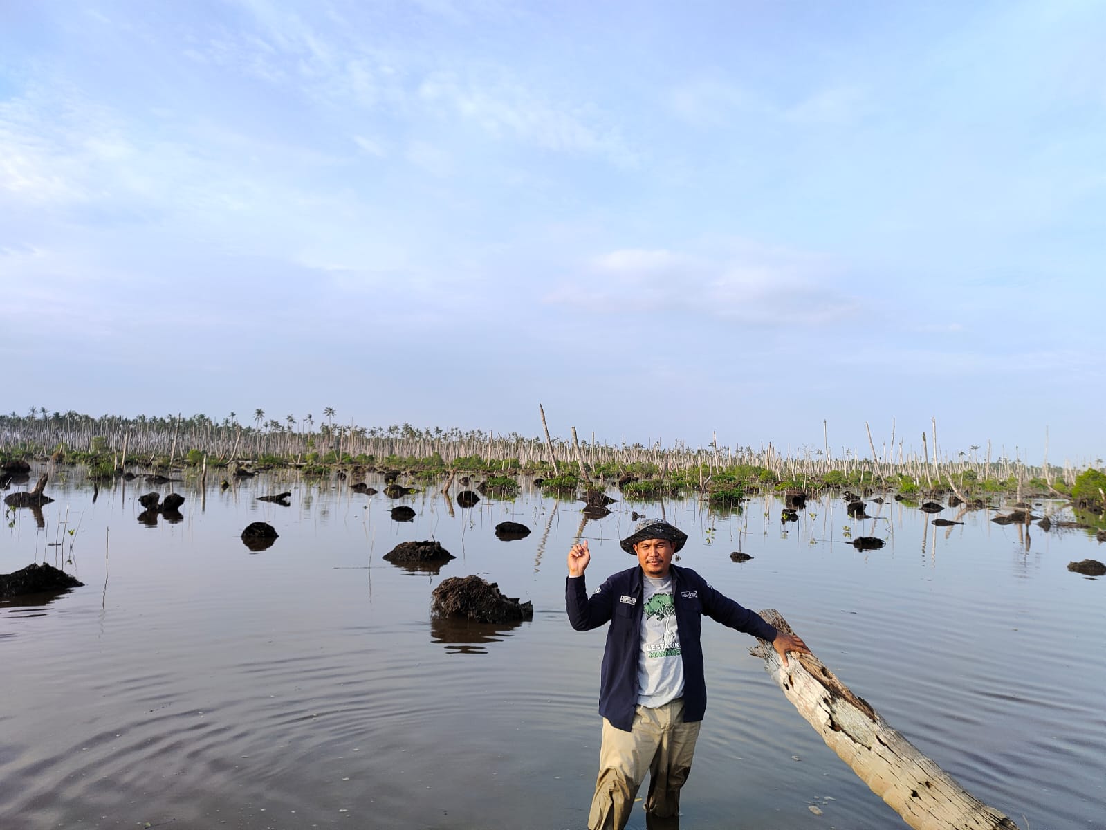 Jikalahari Desak BRGM Serius Rehabilitasi Mangrove di Riau